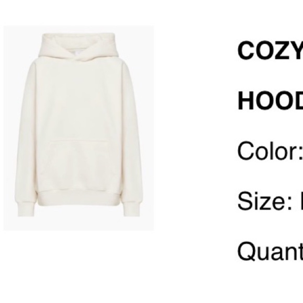 Aritiza Light Birch Hoodie Sweatshirt - Picture 5 of 6